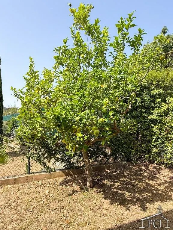 Gran oportunidad - Chalet unifamiliar  en Calonge — 43