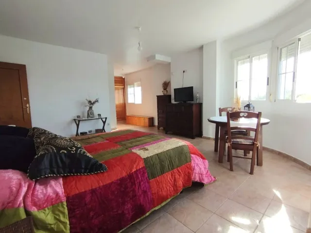 Villa 6 habitaciones 338m² en venta - La Siesta - El Salado - Torreta — 16