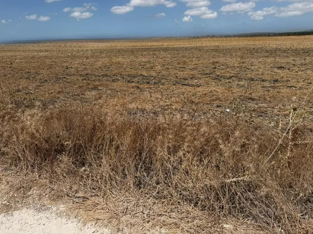 Oportunidad única: Finca rústica de 84.423 m2 en las afueras - foto 5