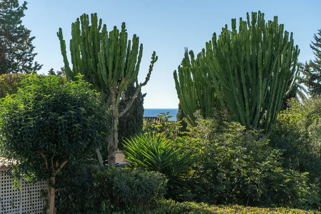 Chalet 6 habitaciones 342m² en venta - Marbella — 19