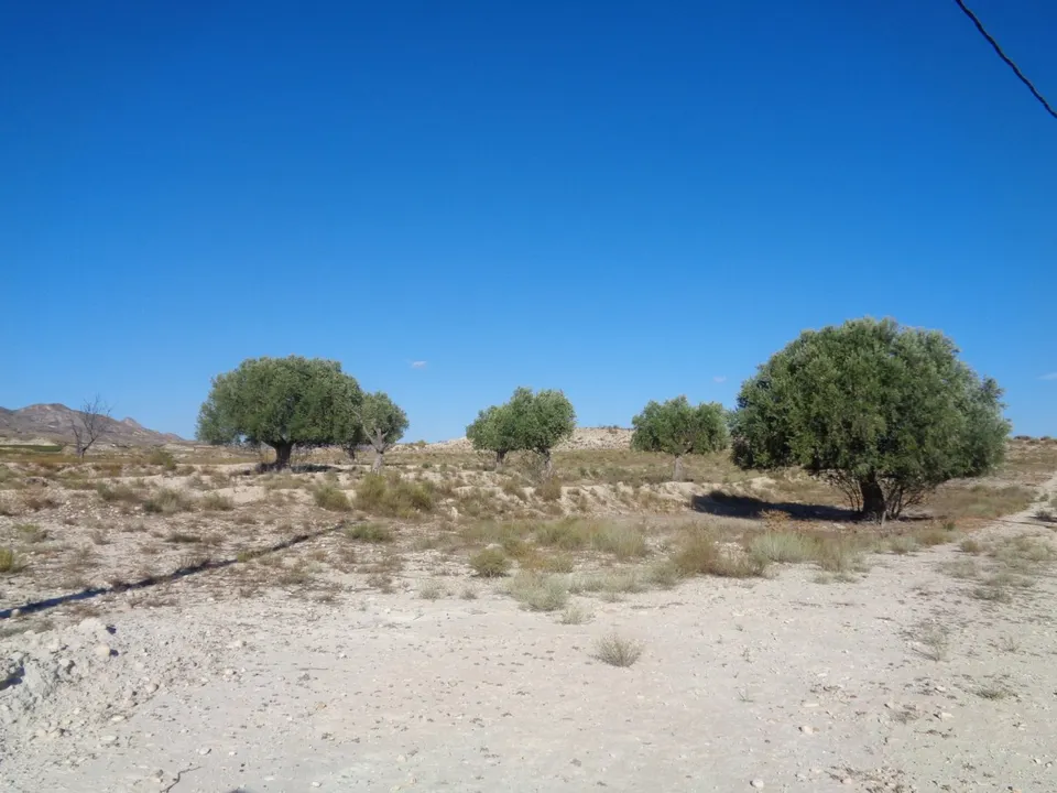 TERRENO EN EL FENAZAR