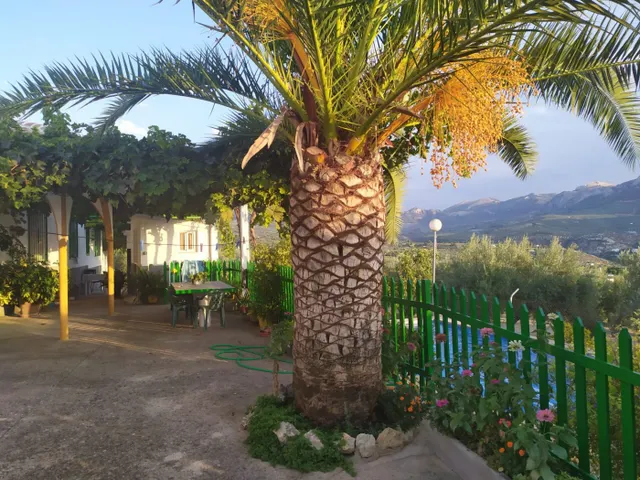 CORTIJO CON GRAN PRODUCCIÓN ACEITUNERA EN 5,5 Ha. — 3