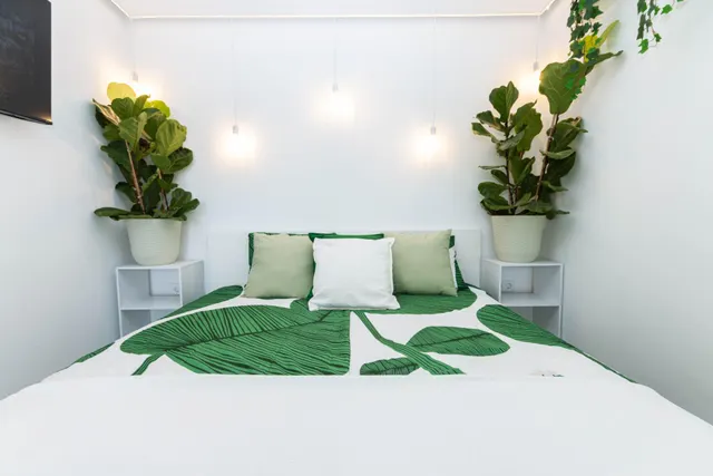 Estudio con bonitas vistas en Puerto Rico — 28