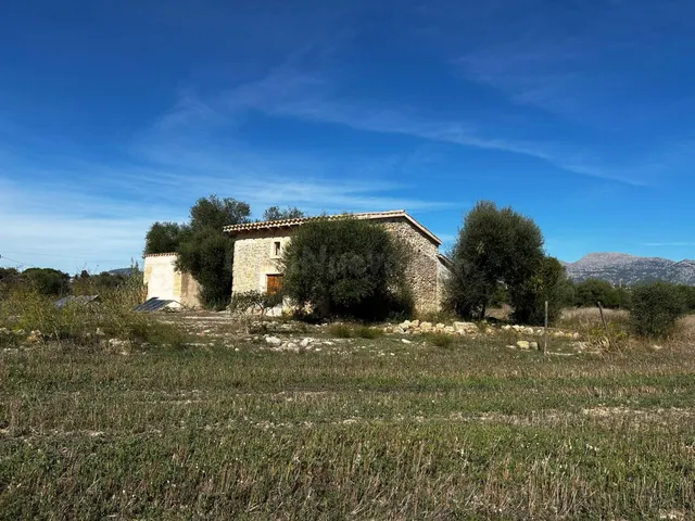 FINCA RUSTICA EN INCA - foto 3