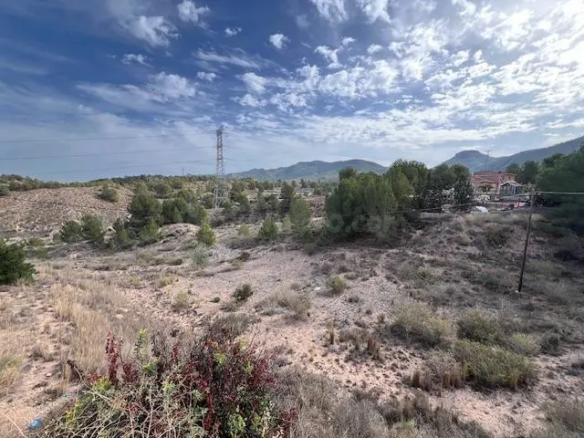 VENTA PARCELA-SOLAR EDIFICABLE 1530 M2. EN LA PALOMA (EL PAL - foto 2