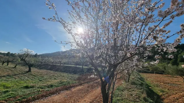 Venta de Terreno en Bullas, proximo al "Salto del Usero"