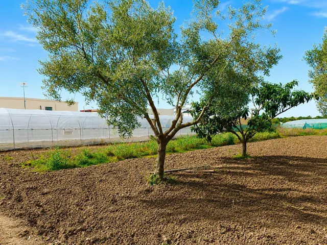 Preciosa casa con jardín en finca rústica — 28