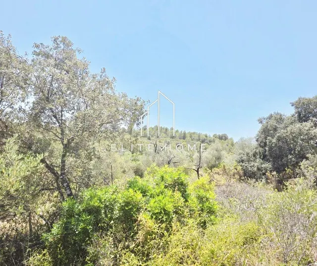FINCA RUSTICA CON GRAN POTENCIAL CERCA DE CERVERA DEL MAETRE