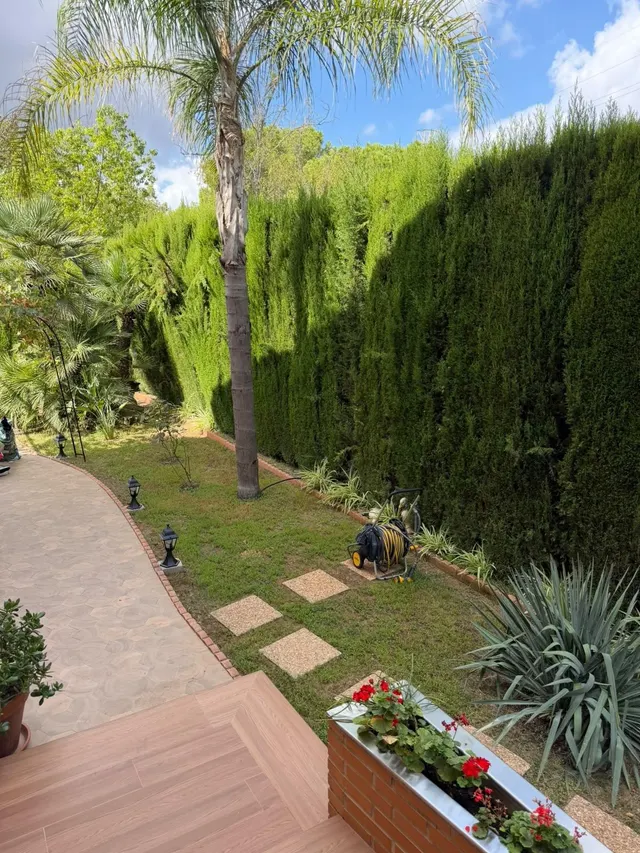 Casa 5 habitaciones 400m² en venta - Mas Camarena — 31