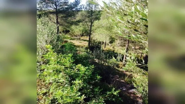 Terreno Urbano en Venta - Can Gordei, La Bisbal del Penedès 