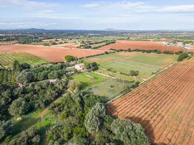 Magnifica finca rústica en la zona de Porreres. - foto 3