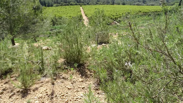 Terreno en venta en Vilamarxant — 17
