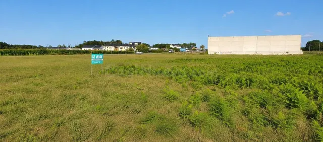 TRES PARCELAS EDIFICABLES EN VENTA EN EL CORTAFICIO – TAPIA  - foto 2