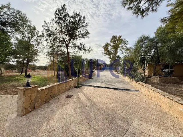✨ Una finca única para quienes buscan mucho más que una vivienda, en Alicante Tangel. — 37