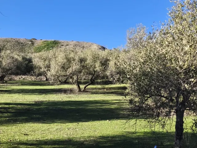 Terreno rural en venta - Sierra de huetor y la alfaguara — 24