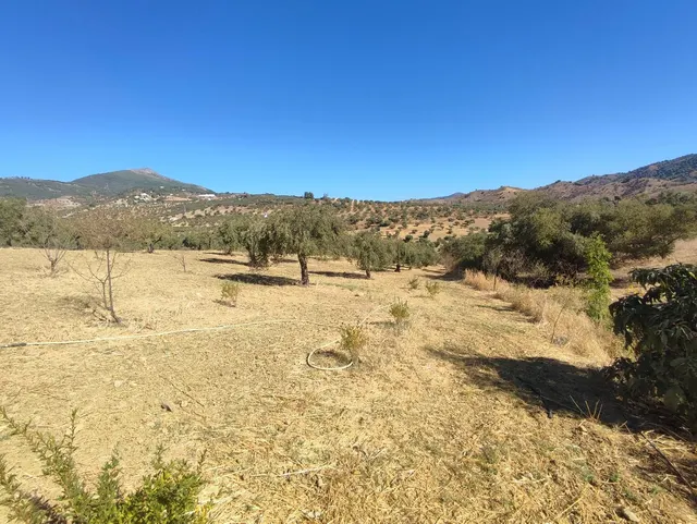 Parcela en venta - South of spain — 9