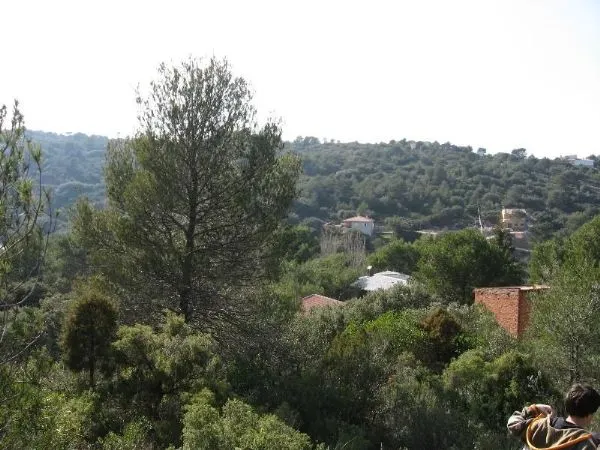 PARCELA EN NUEVA SIERRA, ALBALATE DE ZORITA — 4