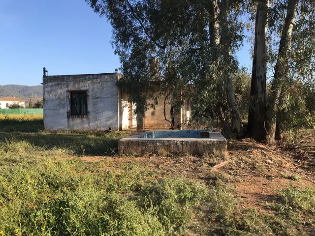 CTRA PALMA DEL RIO - Parcela con escrituras del terreno de 3 - foto 5