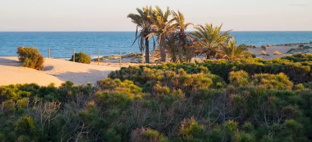 APARTAMENTO DE 2 DORMITORIOS 2 BAÑOS EN OASIS BEACH XII EN RASO (GUARDAMAR DEL SEGURA) — 39