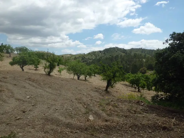 Finca Rústica, LOS GOMEZ, JARALES — 10