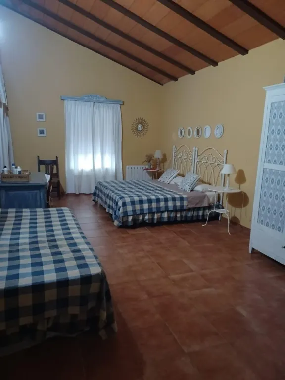Magnífica casa de campo con piscina y vistas a Moguer, en finca de casi 15.000 m2 — 26