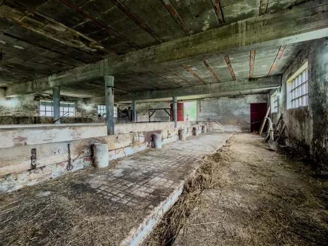 Venta de cuadra y terreno - foto 4