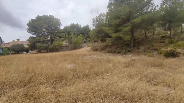 LA MEJOR PARCELA DE ALTORREAL — 11