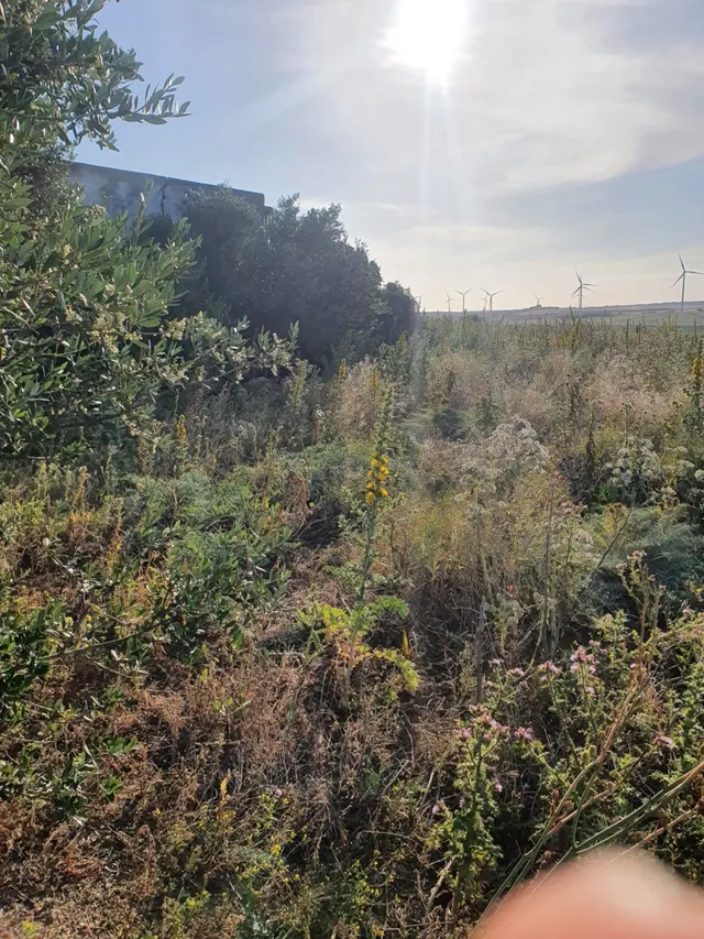 Gran finca de alto valor natural — 8