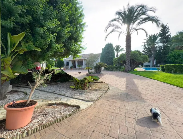 Alquiler Chalet con piscina en alquiler en Elche, zona Valverde. — 5