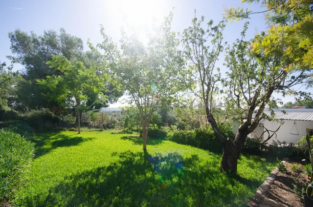 Ref. 04407.- Chalet con dos viviendas independientes, piscin - foto 4