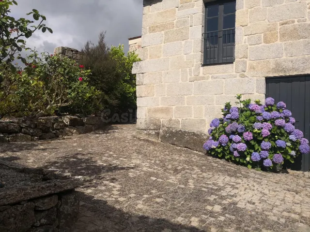 Casa con viÑ±edo en el Ribeiro: refugio de lujo ðð¡ - foto 3