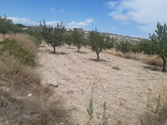 Se vende terreno de 16000 metros — 6