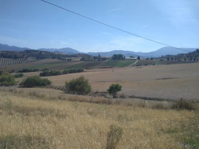 !!EN VENTA TERRENOS NO URBANIZABLES DE GRAN EXTENSIÓN!! — 4