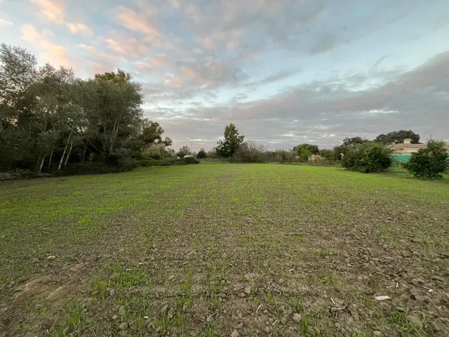Parcela en mesas del corral — 2