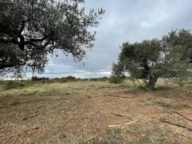 EN VENTA – SUELO RÚSTICO EN CAMBRILS (TARRAGONA) - foto 3