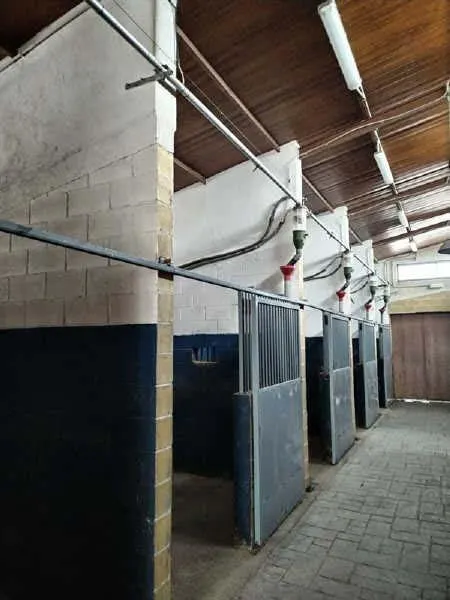 COMPLEJO HIPICO EN VENTA — 16