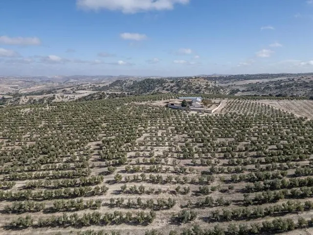 IMPRESIONANTE OPORTUNIDAD DE INVERSIÓN EN ALAMEDILLA!! — 12