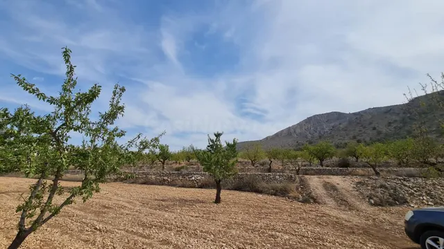 Parcela de 7.558 m2 en venta en Algueña, Comunidad Valencian - foto 5
