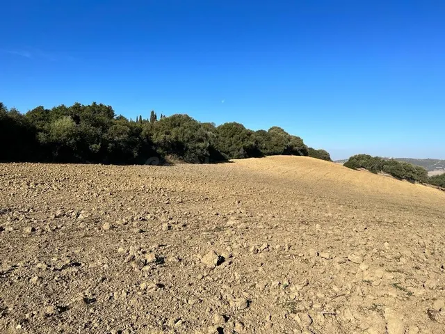 ESTUPENDA PARCELA RUSTICA EN VEJER DE LA FRONTERA - foto 3