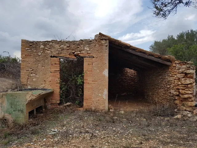 Finca Rústica de 6,5 hectáreas, plana, con casa de campo de 150 M2 — 11