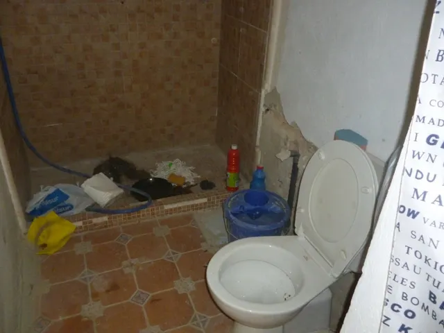Bajo comercial - Purísima - Ontinyent — 5