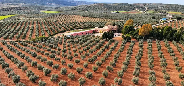 UN PARAÍSO EN EL SUR DE ESPAÑA!!!!! — 24
