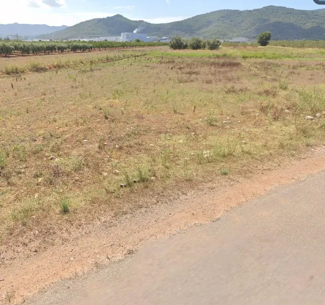 FINCA SECANO LLANA A PIE DE CAMINO ASFALTADO SITUADA EN EL TERMINO DE VILLAFAMES — 3