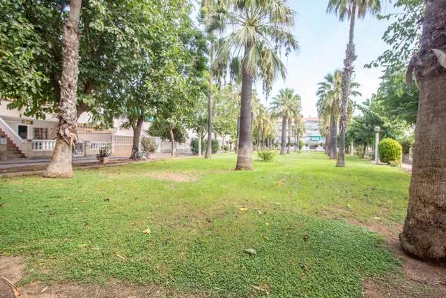 Apartamento de 1 dormitorio 1 baño en La Regia (orihuela costa ) — 17