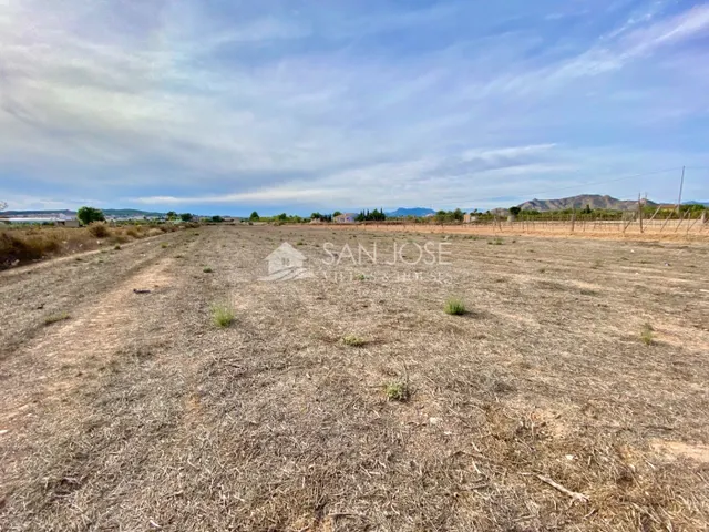 VENTA DE PARCELA EN ASPE EN LA ZONA PARAJE DE LA HORNA - foto 5