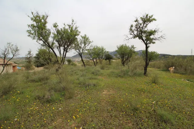 FINCA EN CORTIJO SAN JERÓNIMO (BARTODANO) — 13