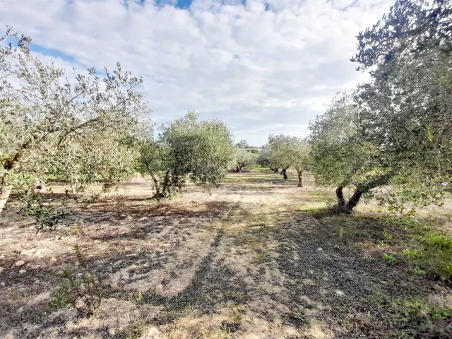 Terreno rural en venta - pedanias - foto 2