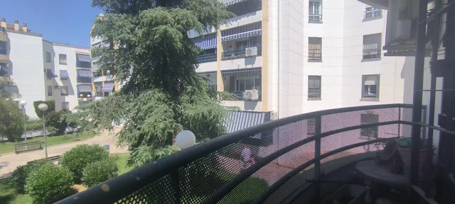 Amplio piso con terraza, cochera y trastero en Miralbaida (en urbanización ajardinada) — 18