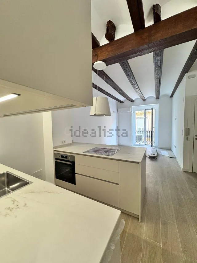 Estudio 51m² en alquiler - El Botànic