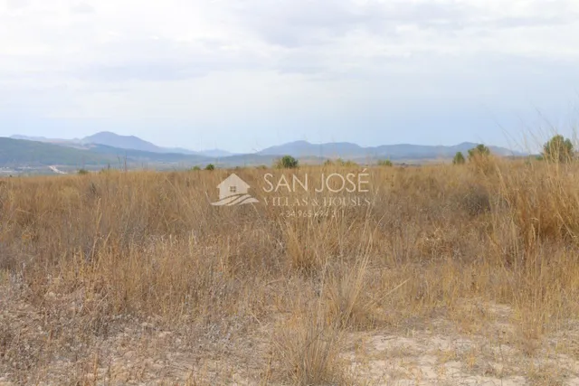 VENTA DE TERRENO EN JUMILLA — 12